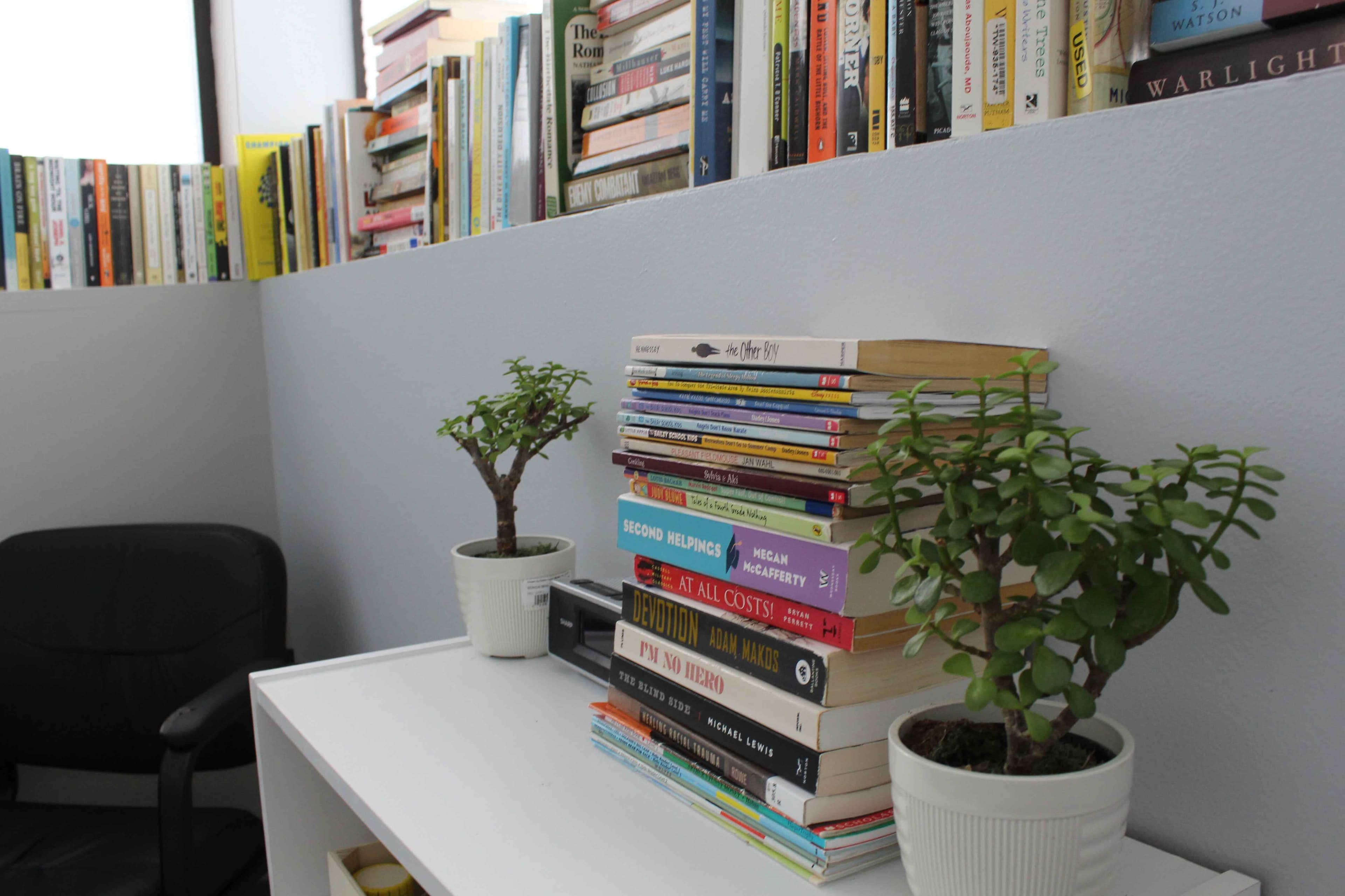 Library Image 4